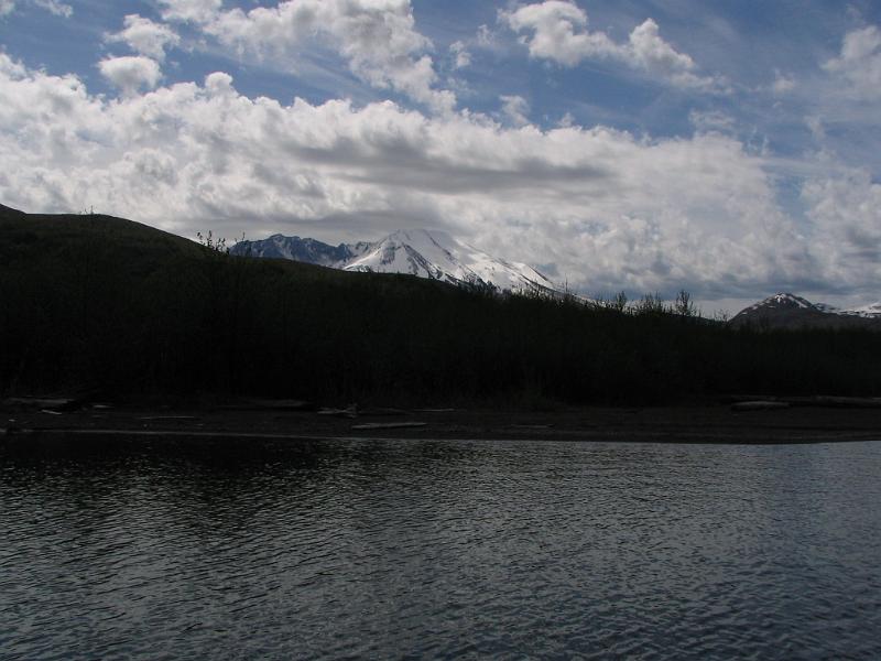 Mount St.Helens (18).JPG